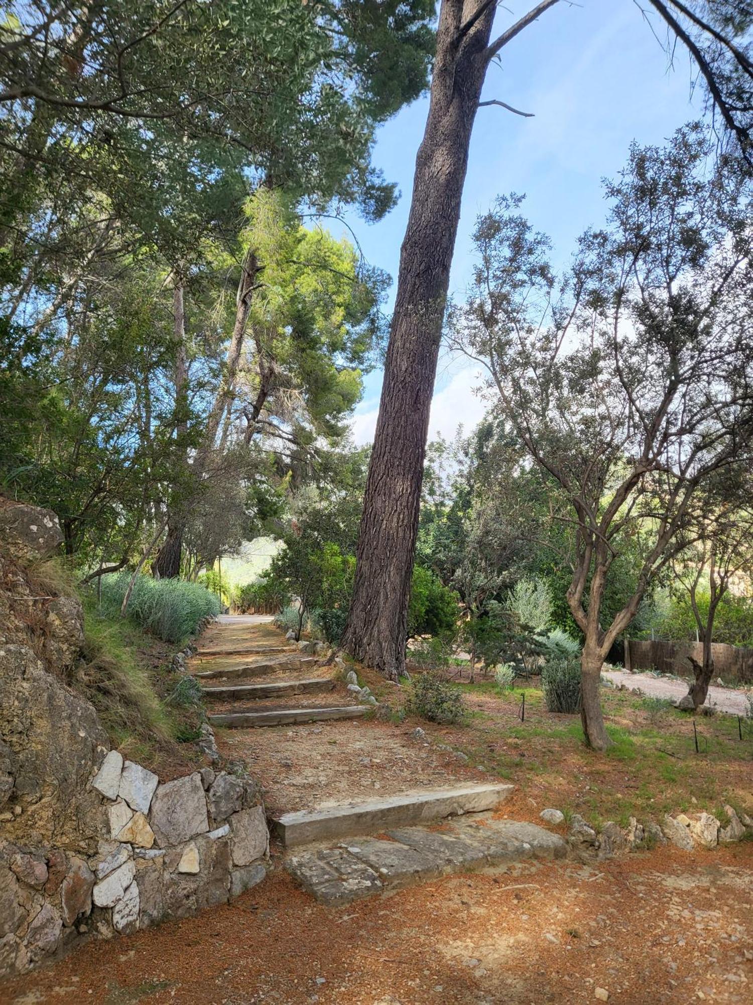 Ses Llebres Chalet Bunyola